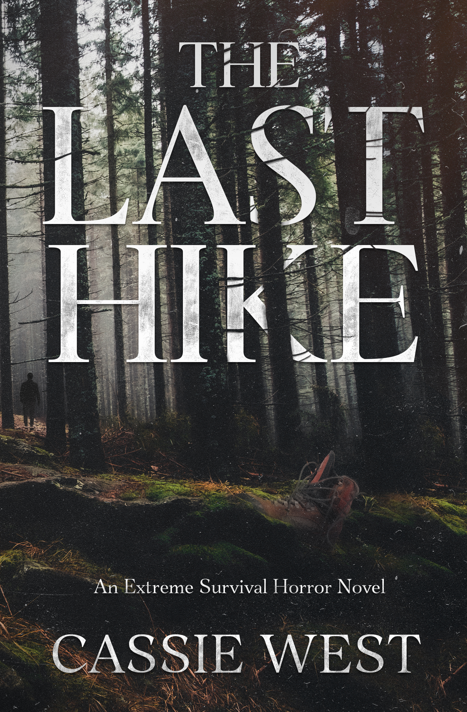 The Last Hike book cover — a lone figure in a dark, misty forest